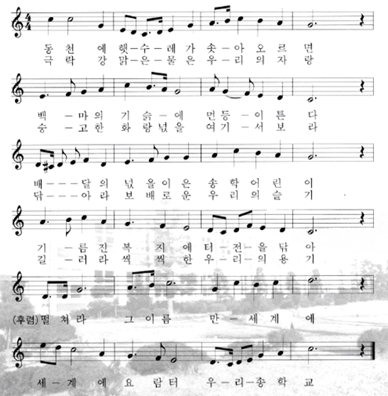 �����Ǻ� �׸�